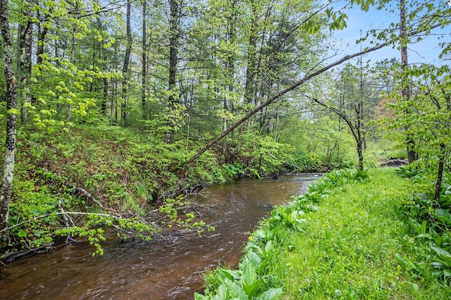 1977 E 40th St, White Cloud, MI 49349 - view of undeveloped land