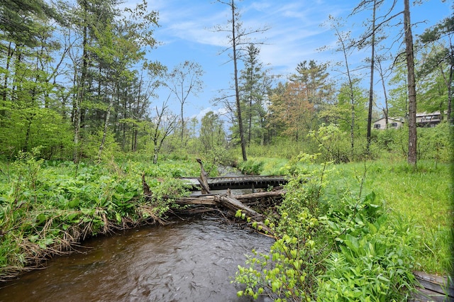1977 E 40th St, White Cloud, MI 49349 - view of dock