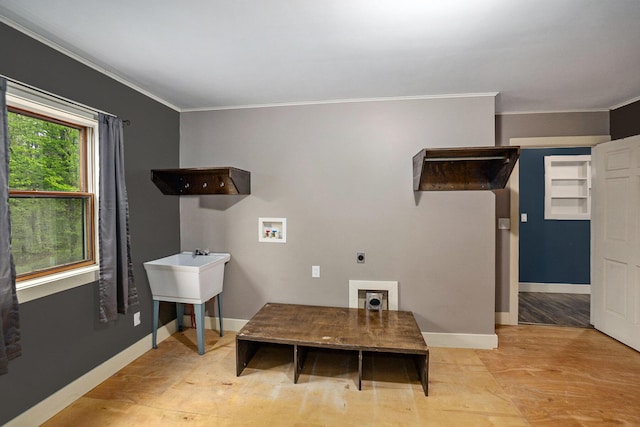 1977 E 40th St, White Cloud, MI 49349 - laundry room featuring washer hookup, electric dryer hookup, ornamental molding, baseboards, and light wood-style floors