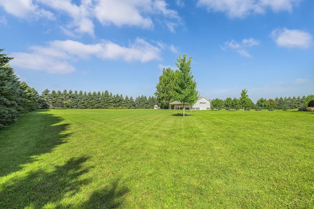 5353 N Graham Rd, Freeland, MI 48623 - view of grassy yard