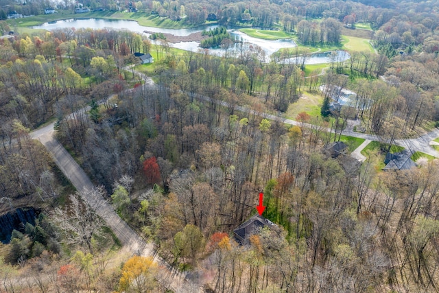 9100 Boggie Dr Unit 159, Canadian Lakes, MI 49346 - view of property location with a nearby body of water and a forest