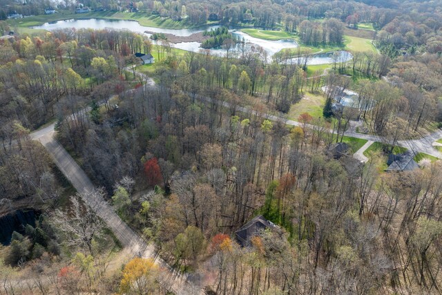 9100 Boggie Dr Unit 159, Canadian Lakes, MI 49346 - aerial view of property's location featuring a nearby body of water and a heavily wooded area