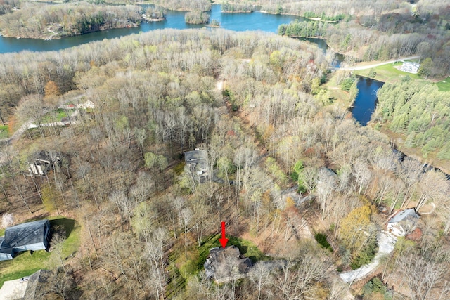 9100 Boggie Dr Unit 159, Canadian Lakes, MI 49346 - aerial overview of property's location featuring a large body of water and a forest