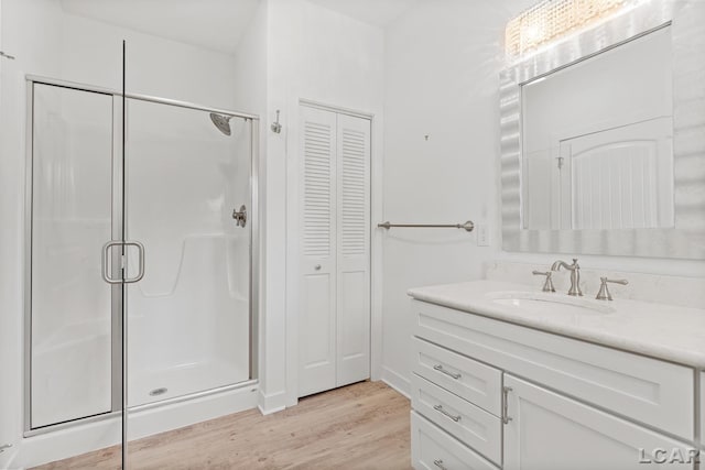 4189 Evergreen Rd, Adrian, MI 49221 - bathroom with a closet, a shower stall, wood finished floors, and vanity