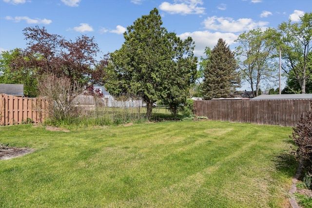 view of yard