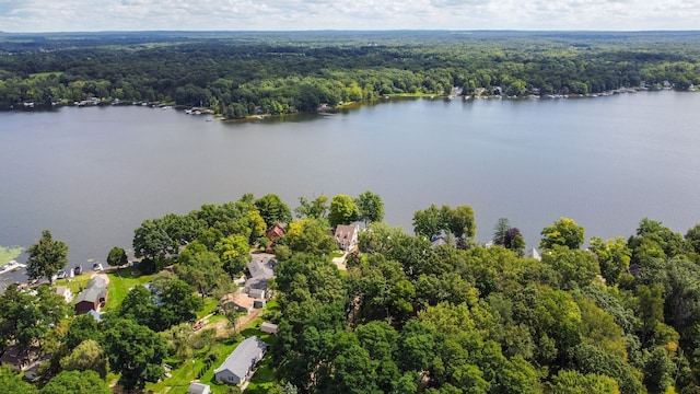 8216 Leonard Dr, Holly, MI 48442 - aerial view of a forest and a large body of water