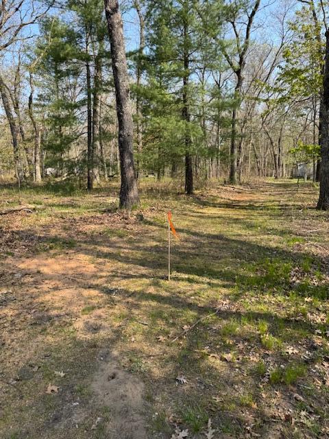 8038 W Hemlock Ave, Baldwin, MI 49304 - view of yard