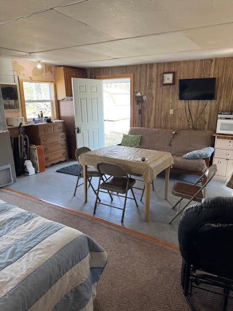 8038 W Hemlock Ave, Baldwin, MI 49304 - bedroom with wood walls and carpet
