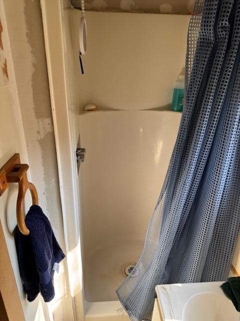 8038 W Hemlock Ave, Baldwin, MI 49304 - full bath with a shower stall