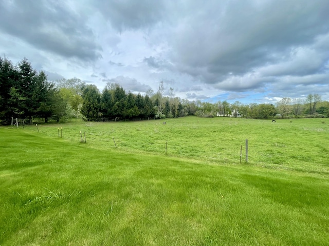 view of grassy yard with a view of rural / pastoral area