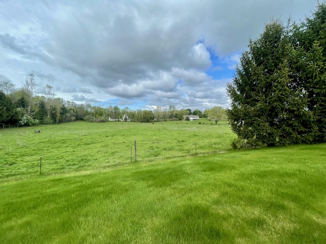 view of yard with a rural view
