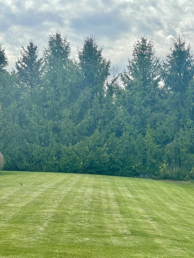 view of grassy yard