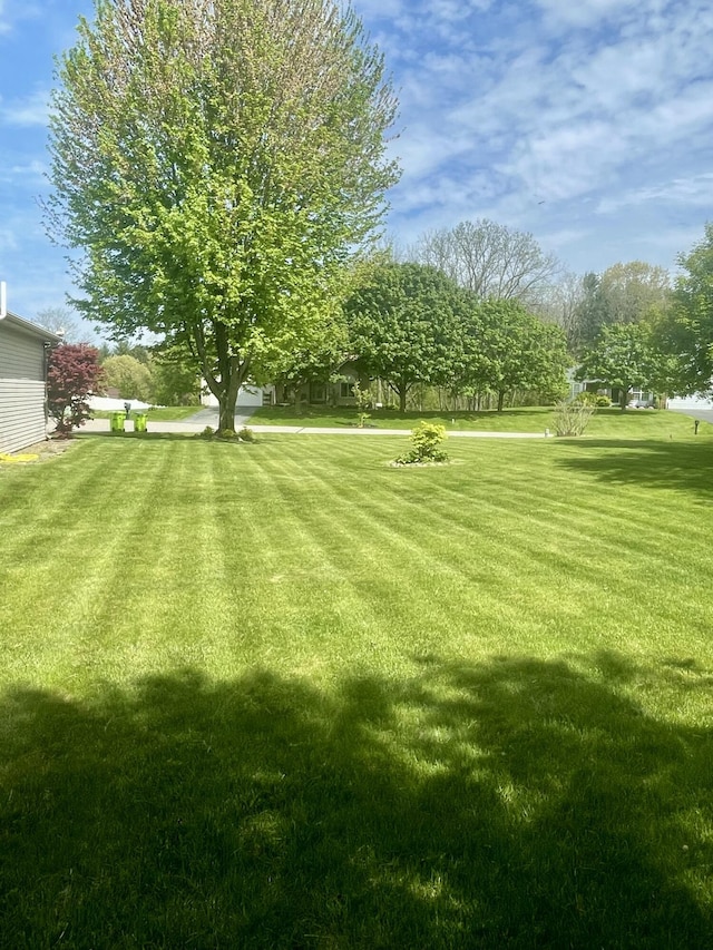 view of grassy yard
