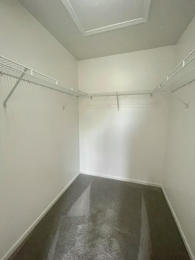 spacious closet featuring dark colored carpet