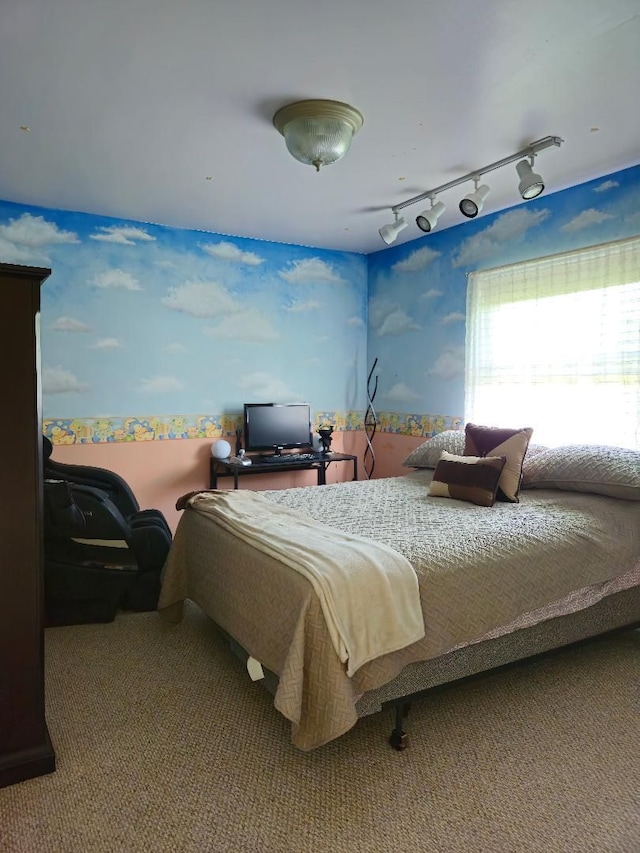 24864 Christina Dr, Flat Rock, MI 48134 - bedroom with rail lighting and carpet floors