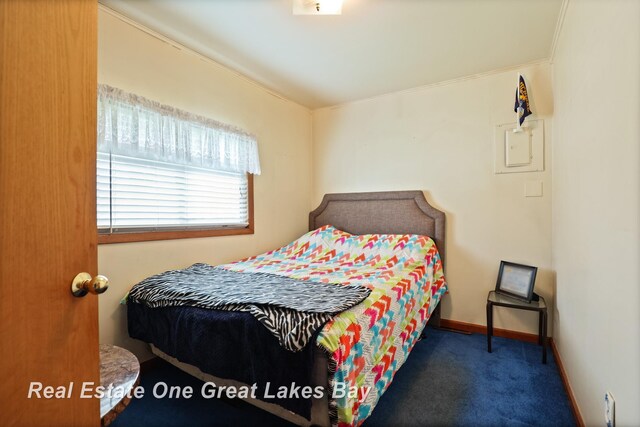 2505 Blake St, Saginaw, MI 48602 - carpeted bedroom with ornamental molding