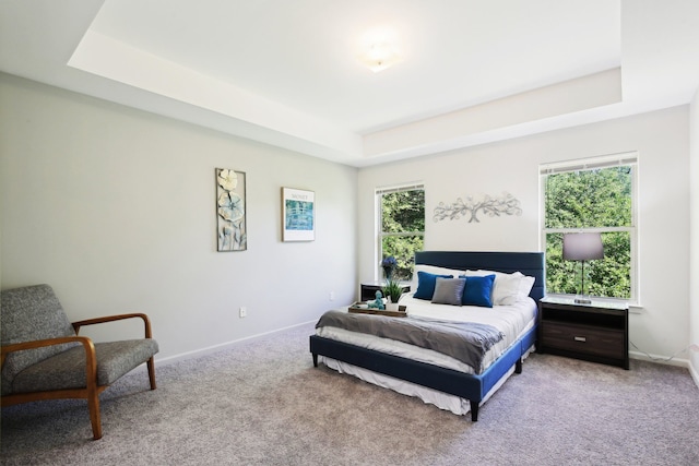 28986 Christopher Ln, Southfield, MI 48034 - carpeted bedroom featuring a tray ceiling and baseboards