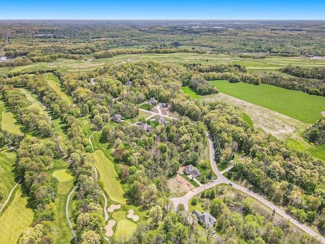 15250 Alister Mackenzie Ave, Augusta, MI 49012 - aerial overview of property's location