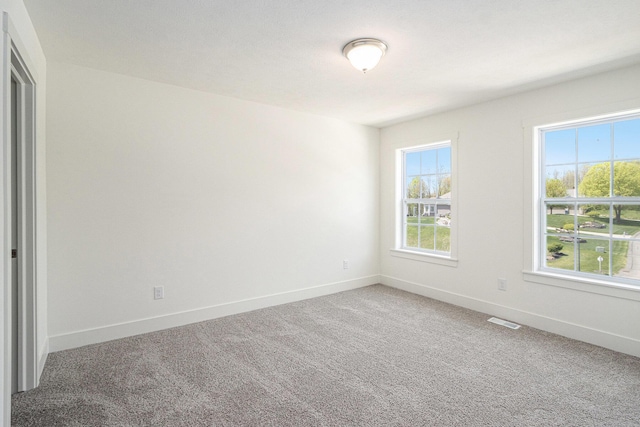 15250 Alister Mackenzie Ave, Augusta, MI 49012 - carpeted empty room with plenty of natural light and baseboards