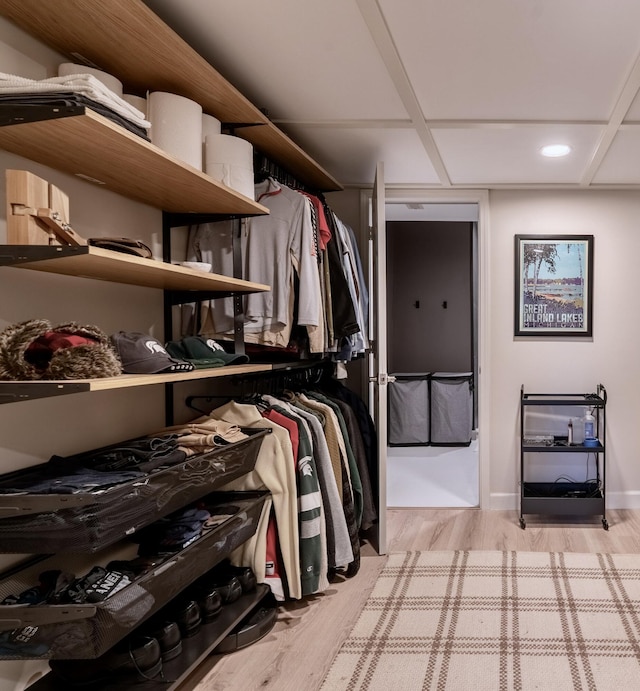 26930 Victory Ct, South Lyon, MI 48178 - spacious closet with light wood-type flooring