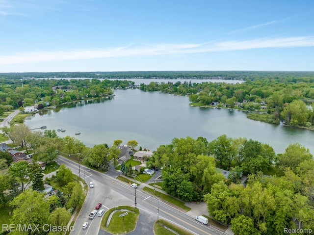 94 Crescent Lake Rd, Waterford, MI 48327 - bird's eye view of a nearby body of water
