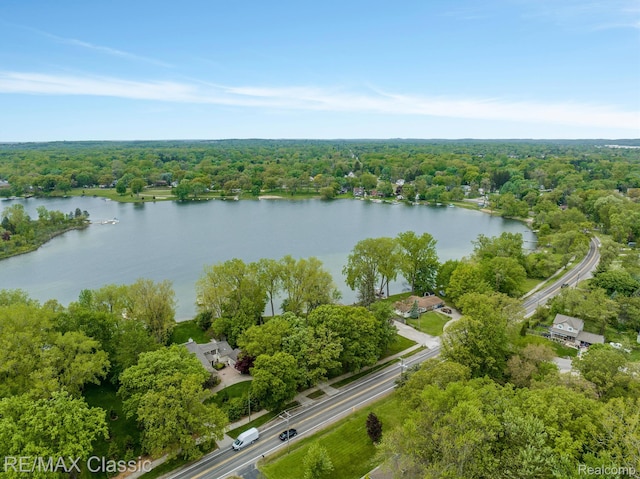 94 Crescent Lake Rd, Waterford, MI 48327 - aerial view of a heavily wooded area and a large body of water