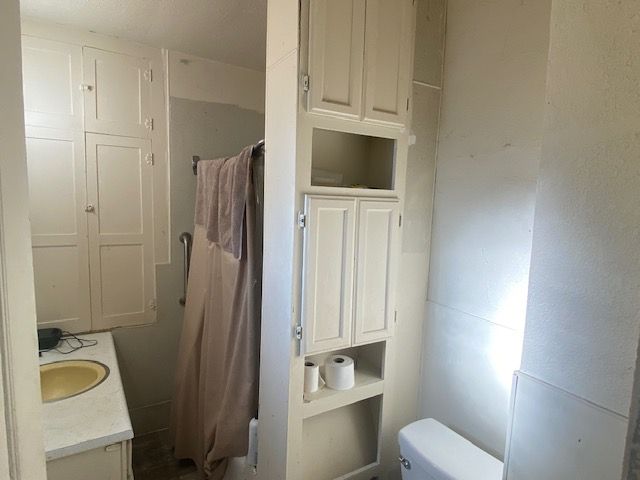 437 W Mount Morris St, Mount Morris, MI 48458 - bathroom with toilet and vanity