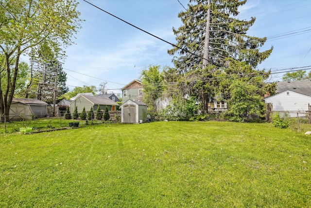 view of yard featuring a storage unit and an outbuilding