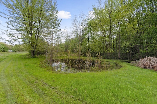7244 Neff Rd, Mount Morris, MI 48458 - view of yard featuring a view of trees and a water view