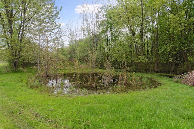 7244 Neff Rd, Mount Morris, MI 48458 - view of tree filled area