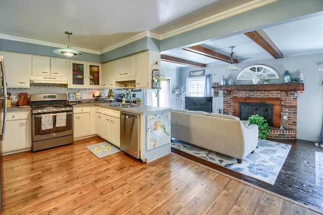 10186 Carlee June Dr, Fenton, MI 48430 - kitchen featuring stainless steel appliances, a sink, under cabinet range hood, hanging light fixtures, and light wood-type flooring