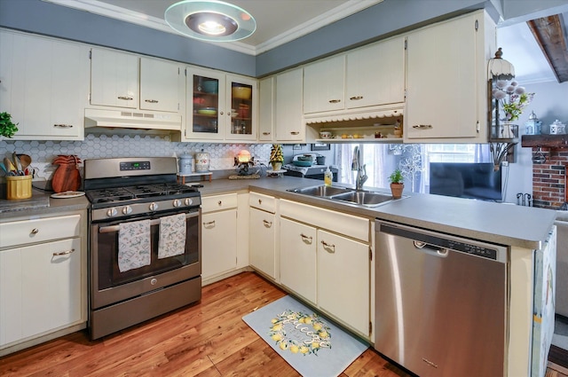 10186 Carlee June Dr, Fenton, MI 48430 - kitchen with appliances with stainless steel finishes, under cabinet range hood, a sink, tasteful backsplash, and crown molding