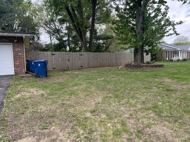 29 Douglas Ave, Coldwater, MI 49036 - view of yard