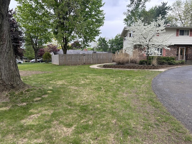 29 Douglas Ave, Coldwater, MI 49036 - view of yard