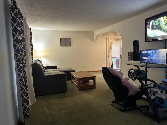 29 Douglas Ave, Coldwater, MI 49036 - carpeted living area featuring a textured ceiling