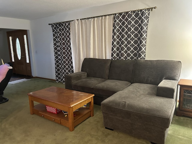 29 Douglas Ave, Coldwater, MI 49036 - living area with carpet flooring