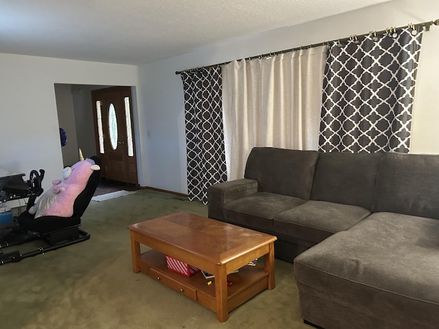 29 Douglas Ave, Coldwater, MI 49036 - view of carpeted living area
