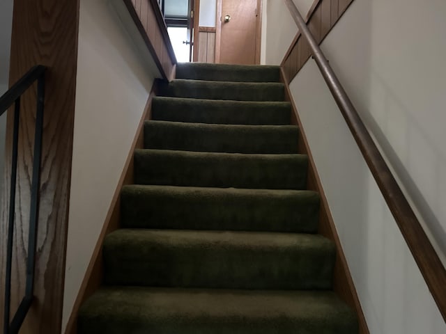 29 Douglas Ave, Coldwater, MI 49036 - staircase with carpet