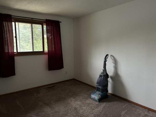 29 Douglas Ave, Coldwater, MI 49036 - carpeted empty room featuring baseboards and a textured ceiling