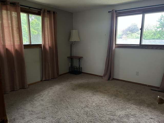 29 Douglas Ave, Coldwater, MI 49036 - carpeted empty room with healthy amount of natural light and baseboards