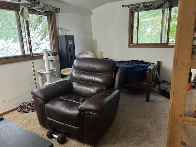 29 Douglas Ave, Coldwater, MI 49036 - living area with carpet and lofted ceiling