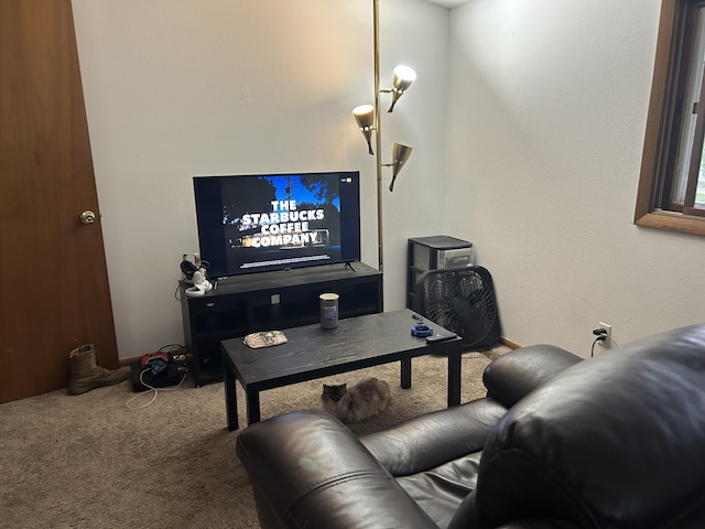 29 Douglas Ave, Coldwater, MI 49036 - view of carpeted living area
