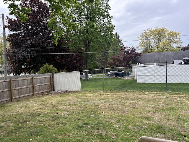 29 Douglas Ave, Coldwater, MI 49036 - view of yard