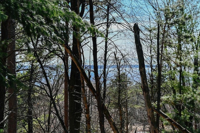 water view featuring a heavily wooded area