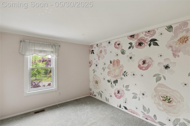16233 Birwood Ave, Beverly Hills, MI 48025 - spare room with carpet floors, baseboards, and wallpapered walls