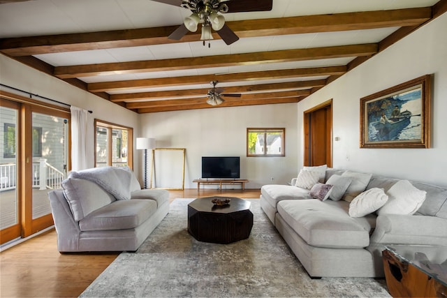 living area with ceiling fan, healthy amount of natural light, wood finished floors, and beam ceiling