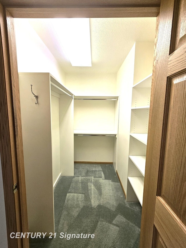 5966 Red Feather Dr, Bay City, MI 48706 - walk in closet with carpet flooring