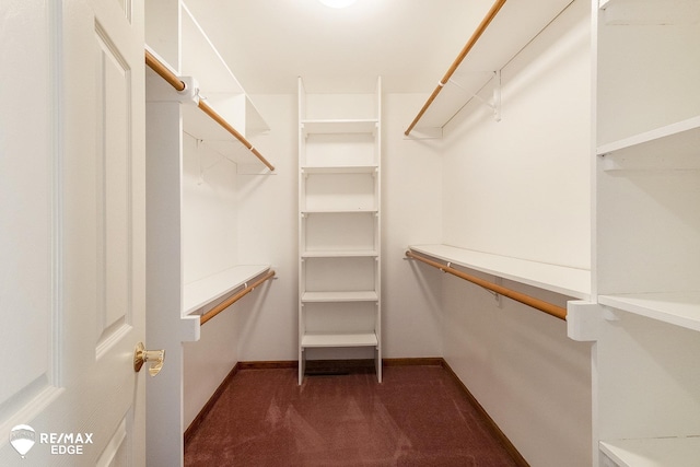 walk in closet with dark colored carpet