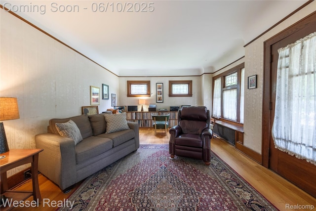 337 Chandler St, Romeo, MI 48065 - living area featuring wood finished floors and radiator heating unit