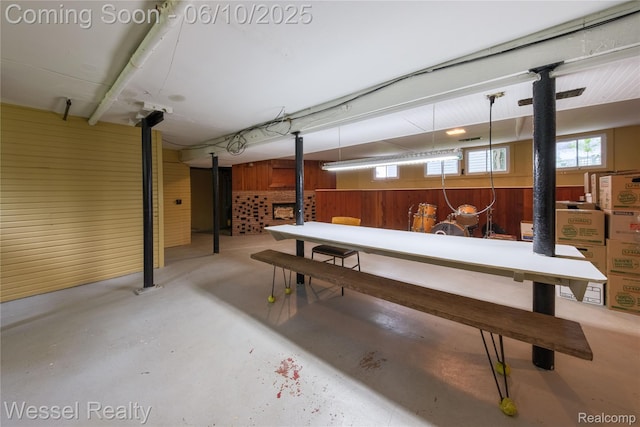 337 Chandler St, Romeo, MI 48065 - below grade area featuring wood walls
